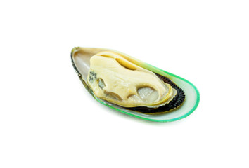 Wall Mural - Green mussel