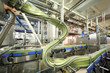 Green cans move fast on conveyor in factory