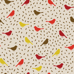 Wall Mural - Birds seamless pattern. Colorful texture