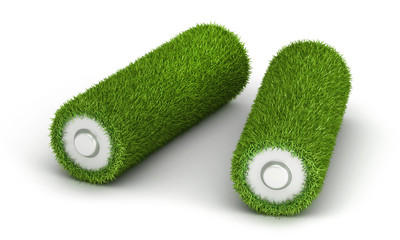 Two AA battery from grass