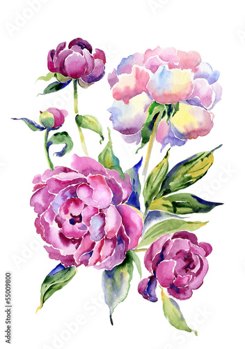 Obraz w ramie Watercolor bouquet of peonies