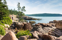 Picturesque Acadia National Park Shoreline