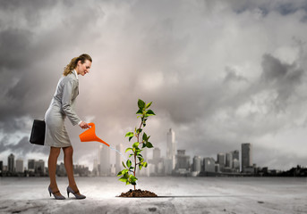 Wall Mural - Business woman watering sprout