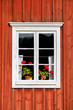 White window with red flowers