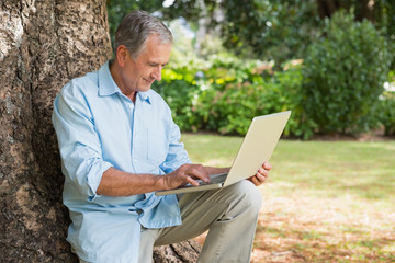 Cheerful mature man sitting on tree trunk using laptop