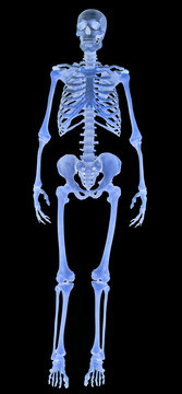 full-face human skeleton on black