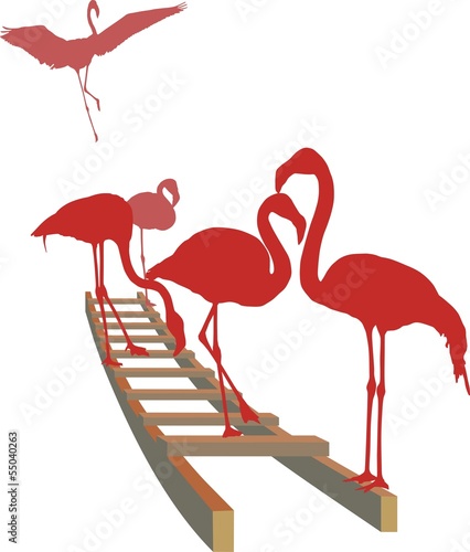 Obraz w ramie Flamingos on the ladder