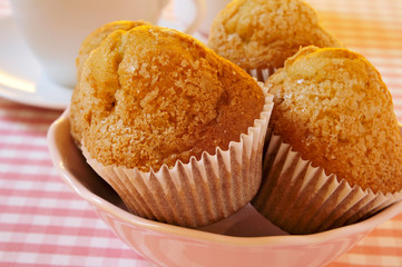 Poster - magdalenas, typical spanish plain muffins