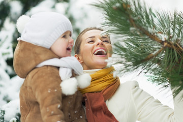 Wall Mural - Happy mother and baby playing with snow on branch