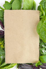 Wall Mural - Old brown paper with fresh herbs