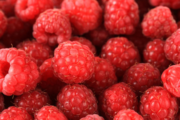 Ripe sweet raspberries, close up