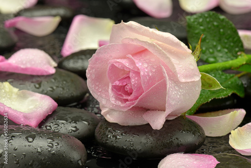 Naklejka dekoracyjna Róża na kamieniu bazaltowym