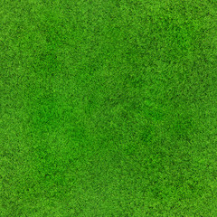 Wall Mural - seamless grass texture