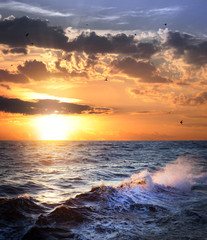 Wall Mural - stormy sea with sundown and birds / beautiful weather