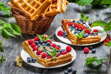 Fresh berry fruit on waffels