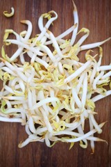 Sticker - Bean Sprouts