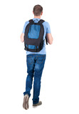 Fototapeta Las - back view of walking  man  with backpack.