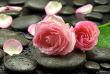 Fototapeta Kamienie - Róże na kamieniach do spa