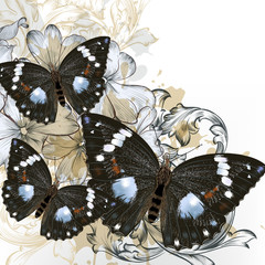 Fototapete - Fashion vector background with butterflies