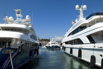 Wall Mural - luxurious yachts in the harbor of Cannes