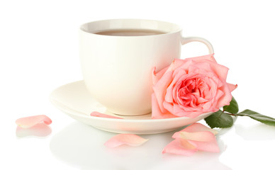 cup of tea with rose isolated on white