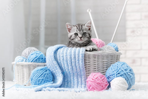 Fototapeta na wymiar Kitten in a basket with balls of yarn