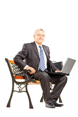 Wall Mural - Mature businessman sitting on a wooden bench with laptop