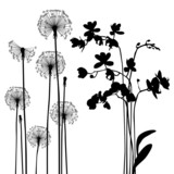 160_f_55171064_otcjteq53rqwxkupqltzzmtcoc9jrx76