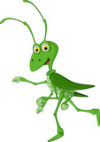 Fototapeta Dinusie - cute grasshopper cartoon walking