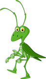 Fototapeta Dinusie - cute grasshopper cartoon walking