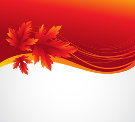 fall leafs abstract background