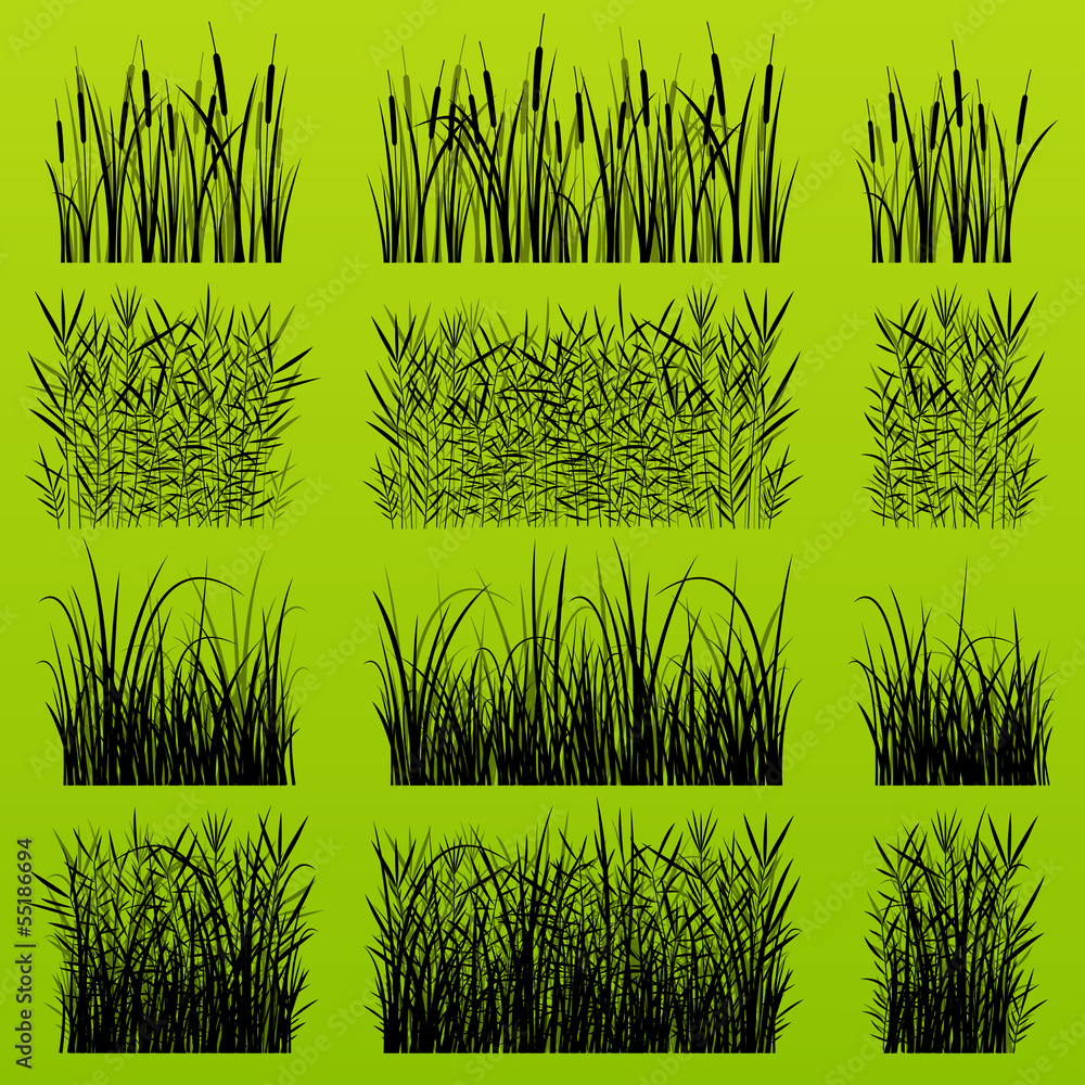 Grass, reed and wild plants detailed silhouettes illustration ba - obrazy, fototapety, plakaty 