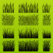 Grass, Reed And Wild Plants Detailed Silhouettes Illustration Ba