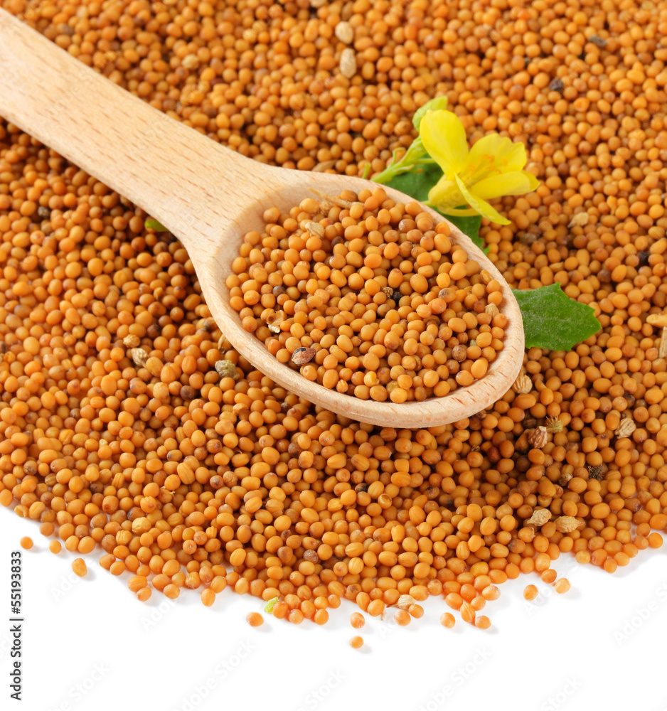 Mustard seeds with mustard flower isolated on white