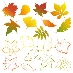 falling leaves set