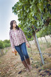 © Andy Dean - Young Female Farmer Inspecting the Grapes in Vineyard