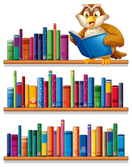 Aufkleber - An owl above the wooden bookshelves with books