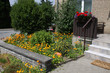 Vorgarten mit Ringelblumen