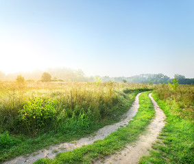 Wall Mural - Road in the field