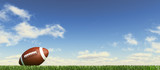 American football ball, on the grass, with fluffy couds sky in t