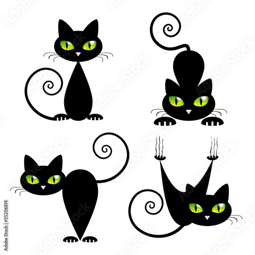 czarny-kot-z-zielonymi-oczami