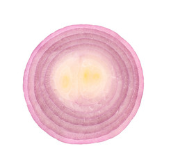 Canvas Print - Slice of red onion.