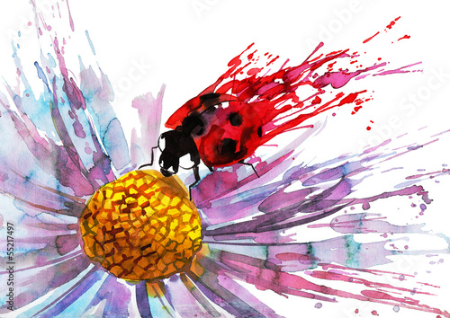 Fototapeta do kuchni ladybug on flower