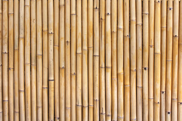 Wall Mural - bamboo fence