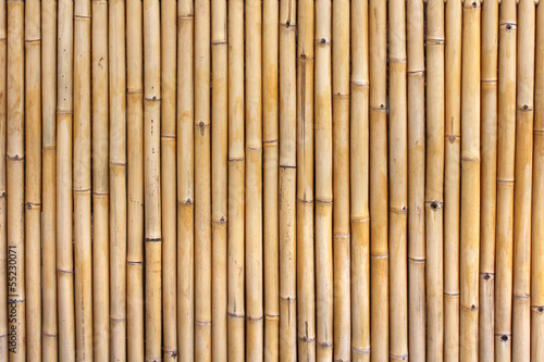 Fototapeta dla dzieci Bamboo fence