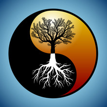 Tree And It's Roots In Yin Yang Symbol