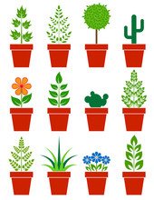 Vector Set Of Plants In Pots