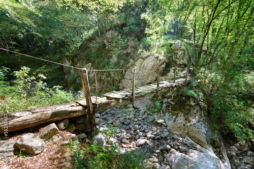 Obraz w ramie wood bridge in forest