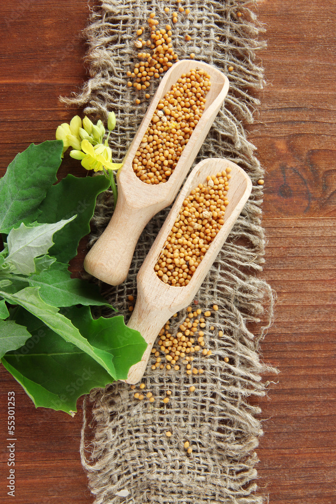 Mustard seeds with mustard flower on wooden background
