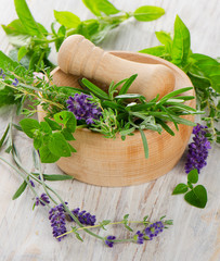 Sticker - Mortar with fresh herbs